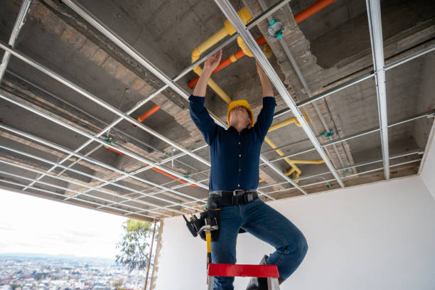 Best Local Plumber Services  in Boerne, TX
